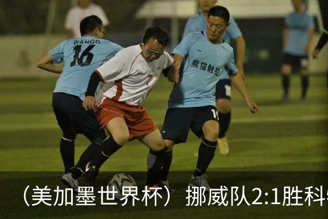 （美加墨世界杯）挪威队2:1胜科特迪瓦队 时隔28年重返16强