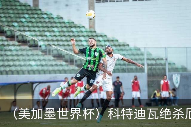 （美加墨世界杯）科特迪瓦绝杀厄瓜多尔 瑞典5:1大胜突尼斯