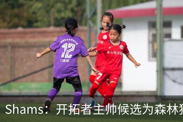 Shams：开拓者主帅候选为森林狼助教诺里&绿军年轻助教拉什布鲁克